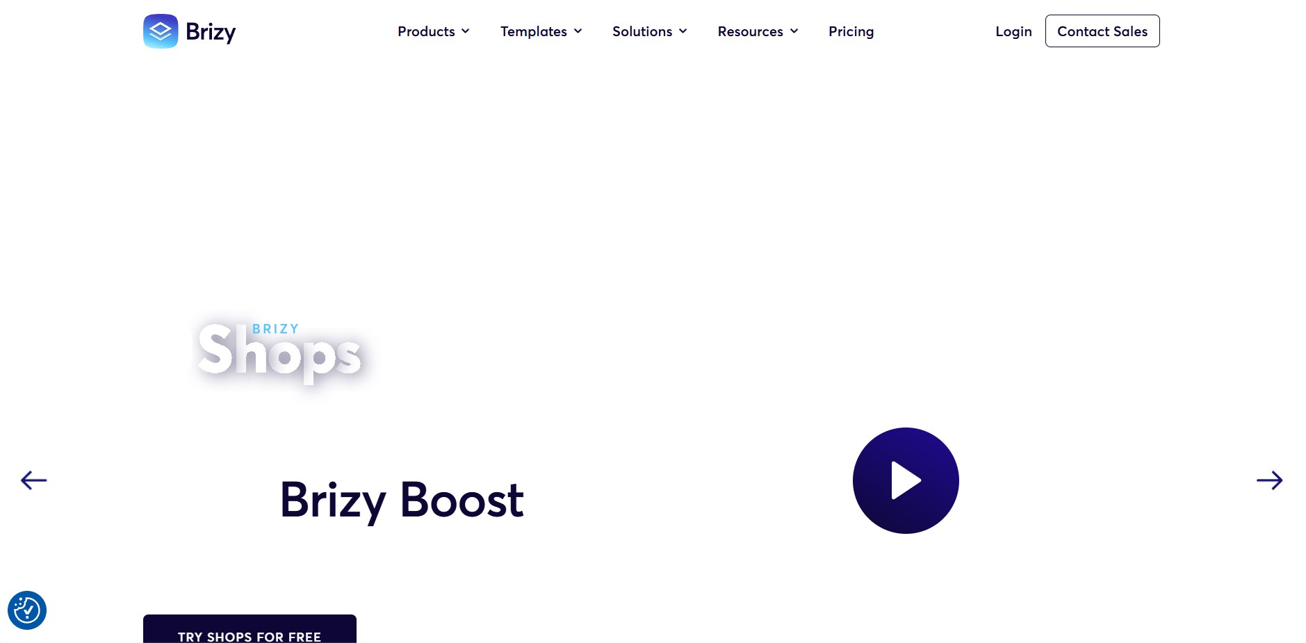 Brizy AI Website Builder